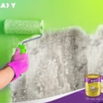 Sơn nhà bao lâu thì khô? Cách khử mùi sơn nhanh hiệu quả?