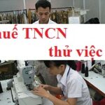 Tính thuế TNCN trong thời gian thử việc như thế nào?