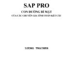 Sap pro con đường bí mật của các chuyên gia tính toán kết cấu